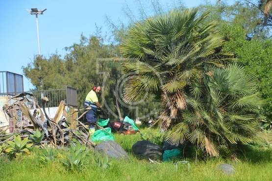 Intervención en la pradera pública de césped de Las Remudas (Foto TA)